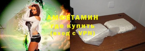 стаф Нея