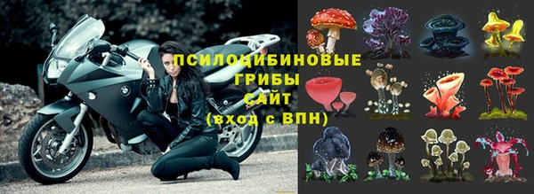 МДПВ Наволоки