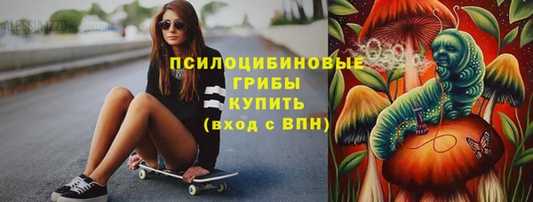стаф Нея