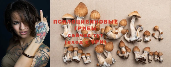 МДПВ Наволоки
