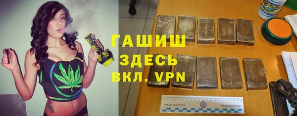 стаф Нея